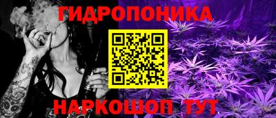 ешки Тверь