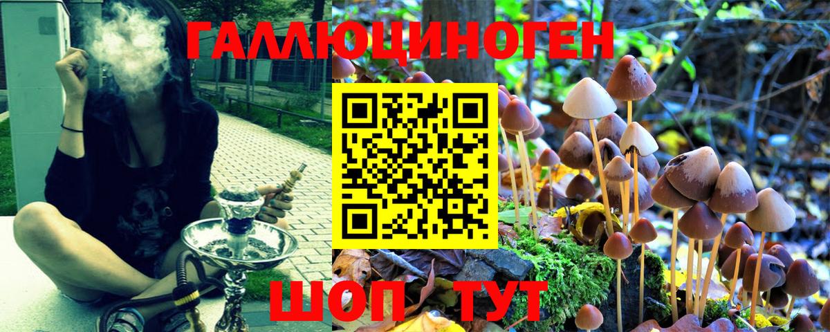 Пыть-Ях  Галлюциногенные грибы Psilocybe  Вход с VPN 